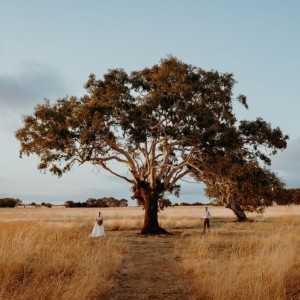 Ryal Sormaz Photography