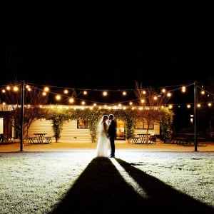 Wild Heart Photography