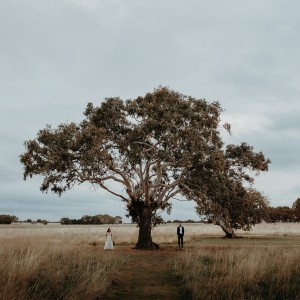 Ryal Sormaz Photography
